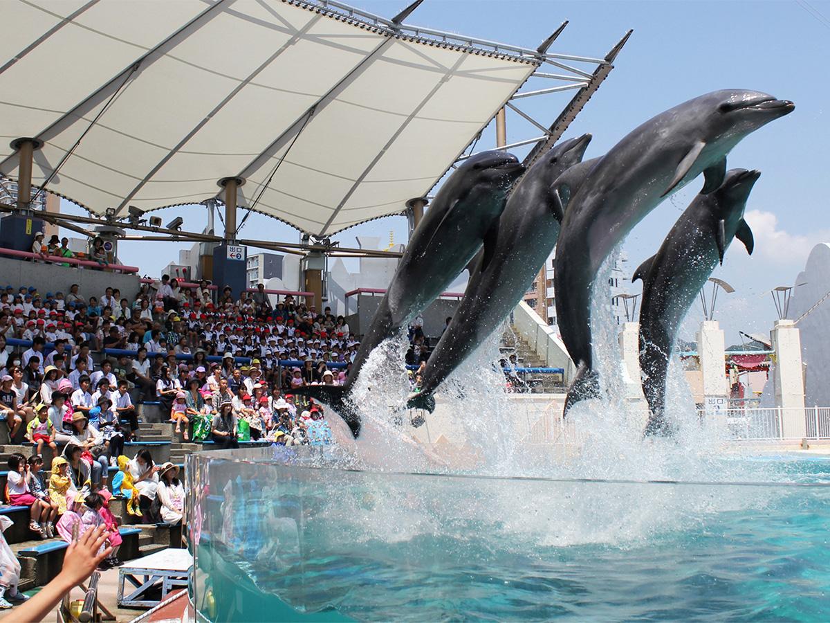 ◆須磨海浜水族園