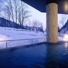 渓谷露天風呂 天華の湯