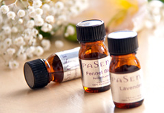 写真:シェリーズ バー イメージ 写真:シェリーズ バー イメージ