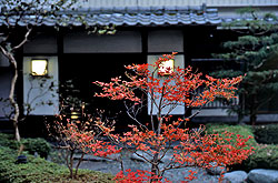 写真：紅葉のころ