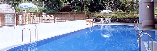 写真：温泉プール