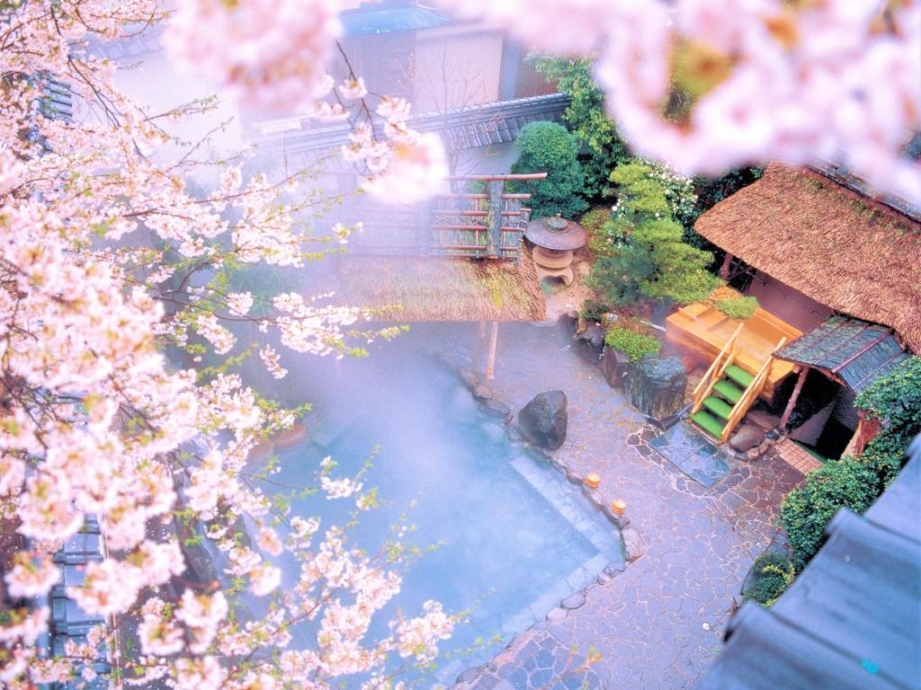 《通年》旬の地元食材を使った日本料理を堪能＊温泉と季節の和風会席料理（基本コース）を楽しめるプラン