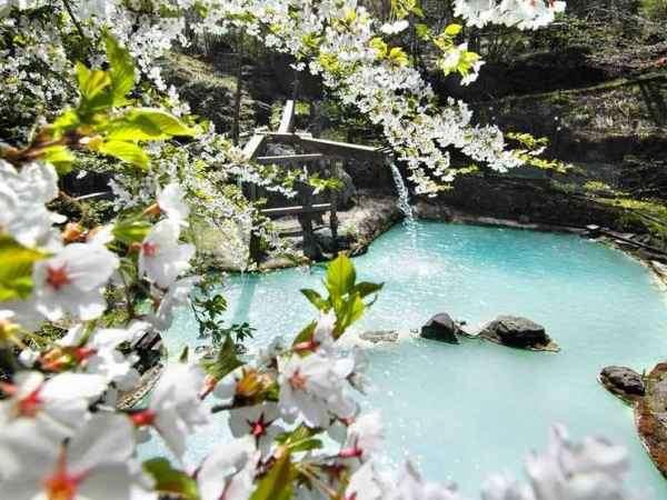 白骨の名湯　泡の湯