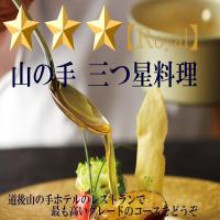 最上級コース♪【山の手三つ星★★★料理】当館で最もグレードの高いディナーコースで優雅で贅沢な旅行に！