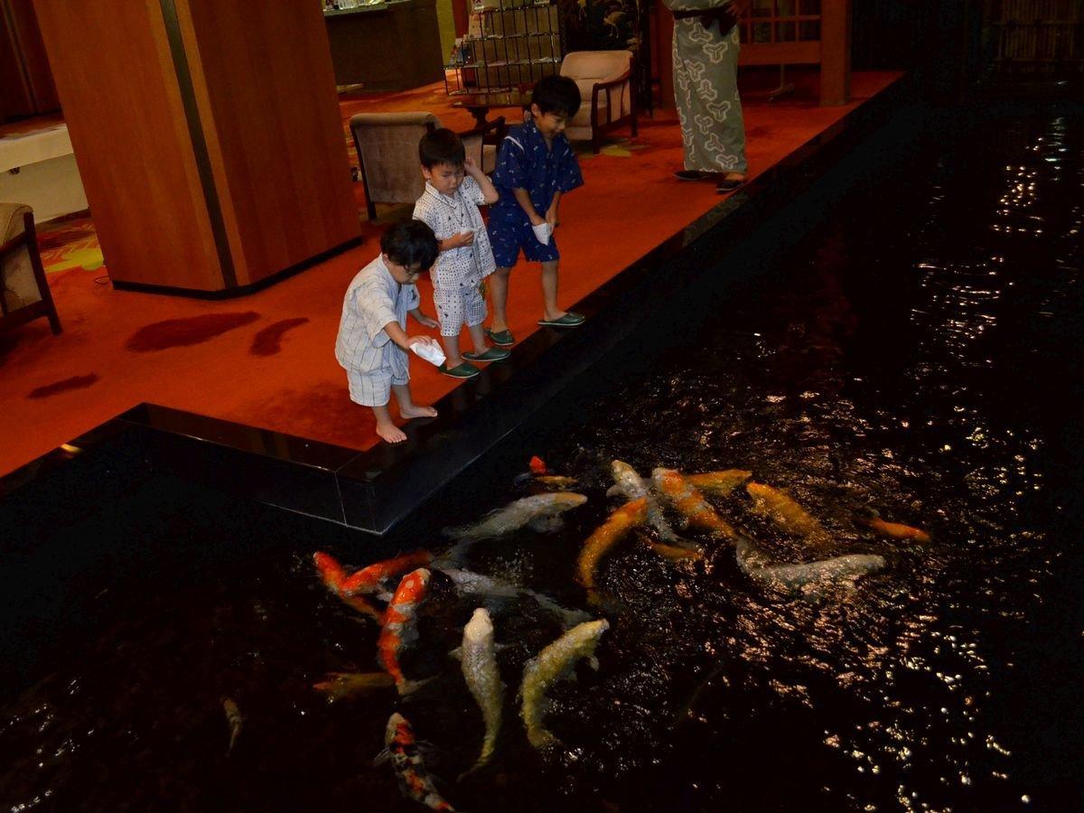 【夏トク祭】高級魚のど黒＆2種の和牛料理を味わう美食会席★【お子様歓迎　鯉の恩返し特典付】★腹ペコ鯉ちゃんにエサあげてね★夏休み家族のんびり旅