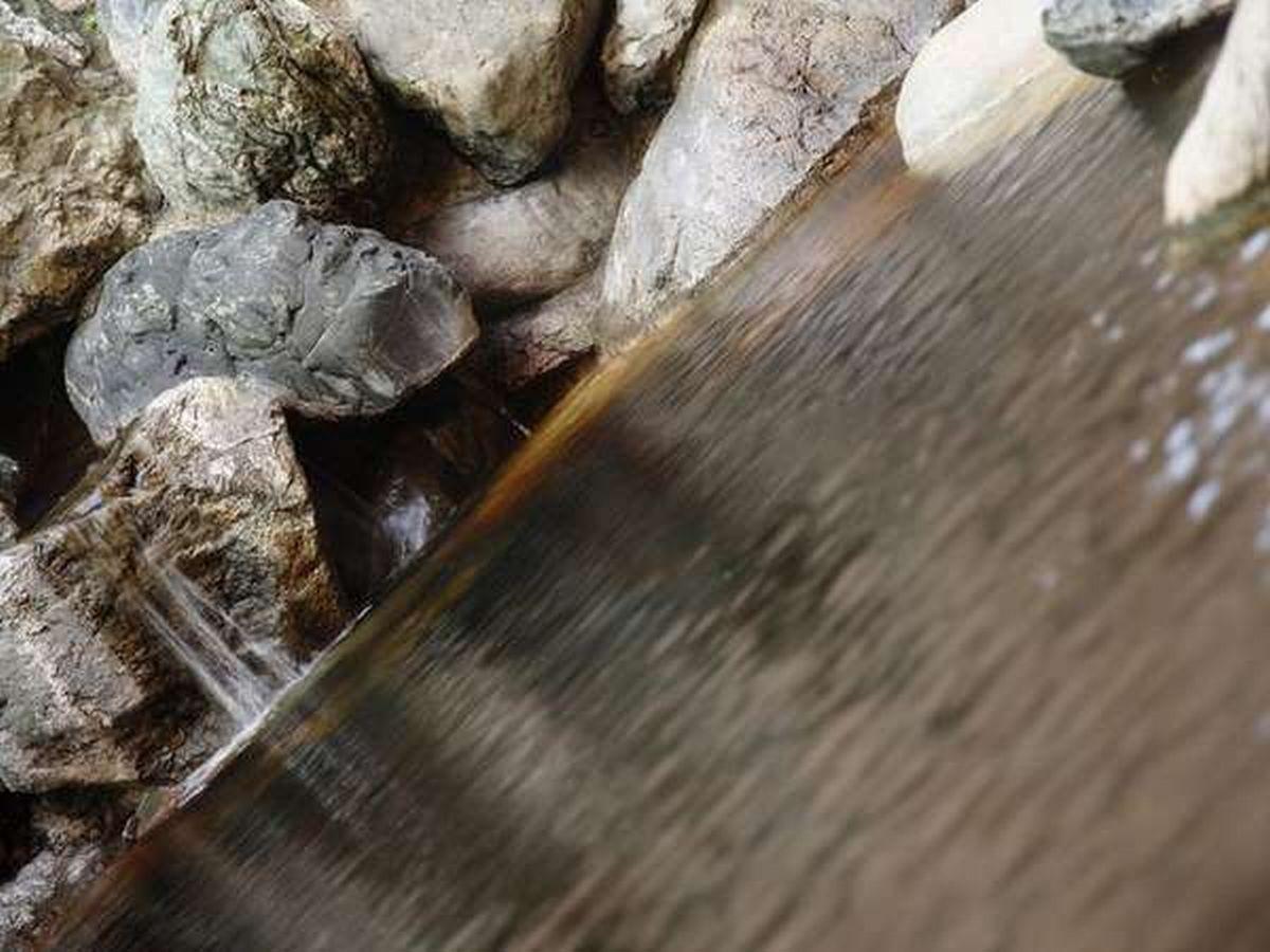 森のスパリゾート北海道ホテル