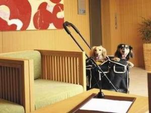 ベイサイドスクエア皆生ホテル