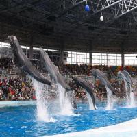 ☆アドベンチャーワールド入園券付☆遊んだ後はブッフェを満喫♪一泊二食ブッフェ付プラン＜一泊二食＞